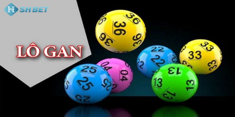 Banner www.shopnhatban.vn