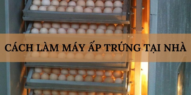 Banner www.shopnhatban.vn