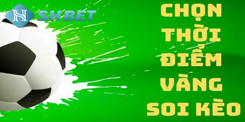 Banner www.shopnhatban.vn