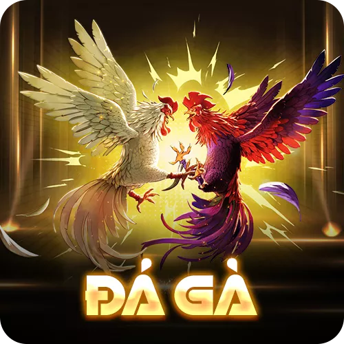 Banner www.shopnhatban.vn