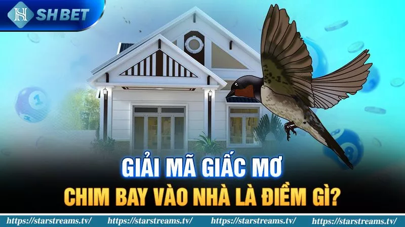 Banner www.shopnhatban.vn